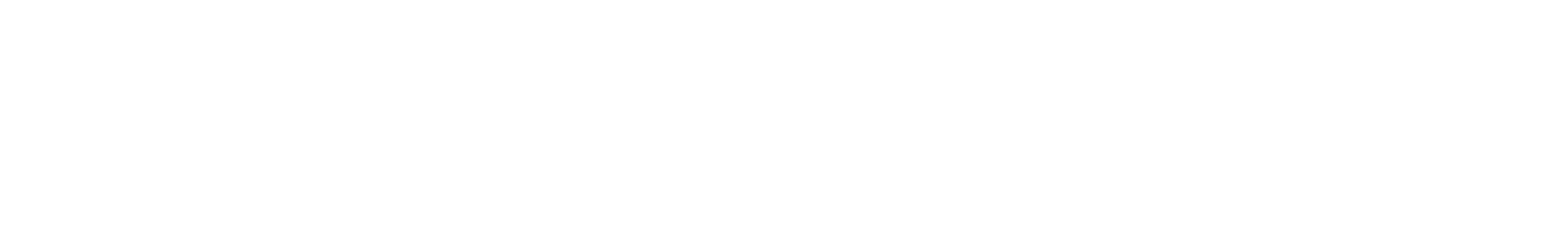 CHRONO GROUP